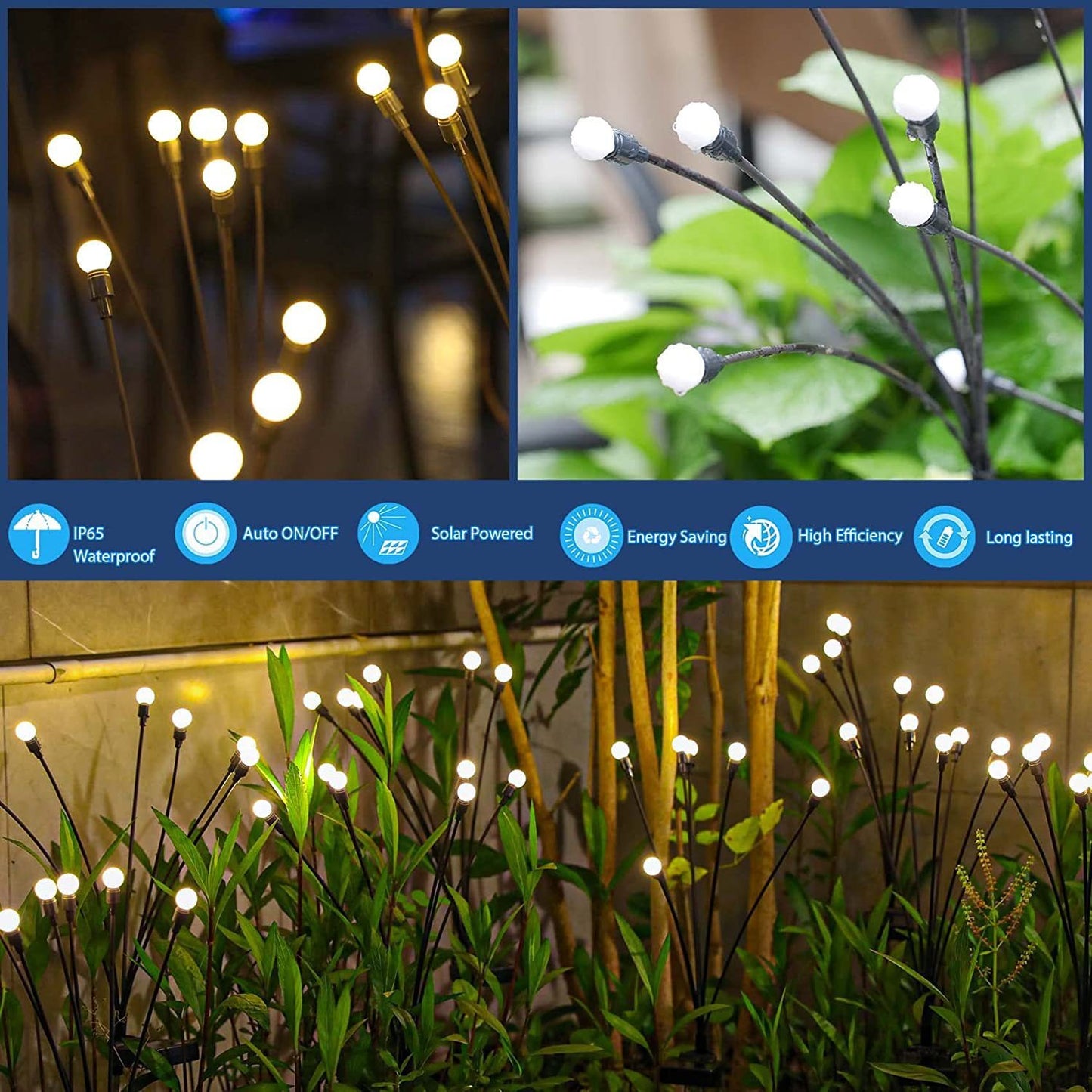 Firefly lights